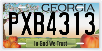 GA license plate PXB4313