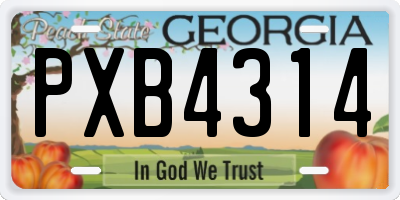 GA license plate PXB4314