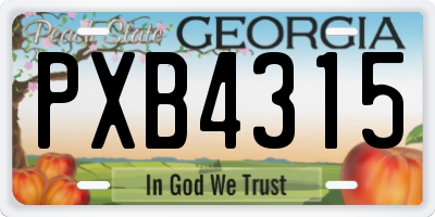 GA license plate PXB4315