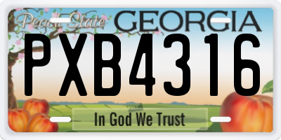 GA license plate PXB4316