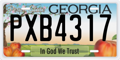 GA license plate PXB4317