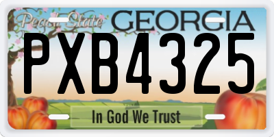 GA license plate PXB4325