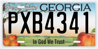 GA license plate PXB4341