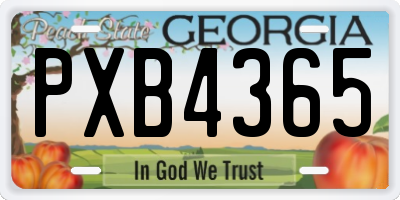 GA license plate PXB4365