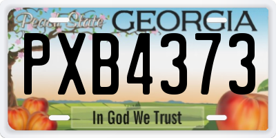 GA license plate PXB4373