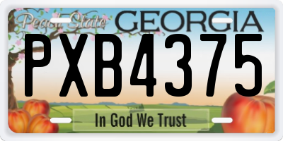 GA license plate PXB4375