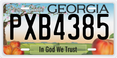 GA license plate PXB4385