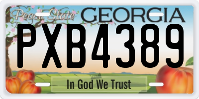 GA license plate PXB4389