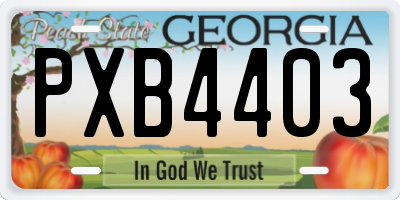 GA license plate PXB4403