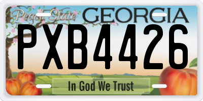GA license plate PXB4426