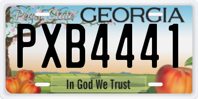 GA license plate PXB4441