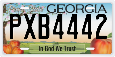GA license plate PXB4442