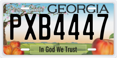 GA license plate PXB4447