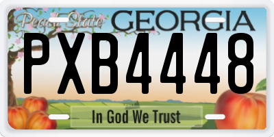 GA license plate PXB4448