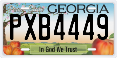 GA license plate PXB4449