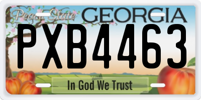GA license plate PXB4463