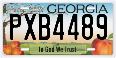 GA license plate PXB4489