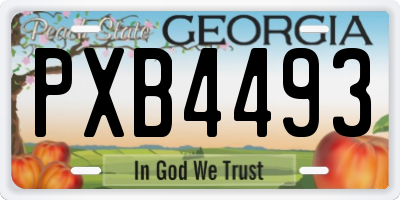 GA license plate PXB4493