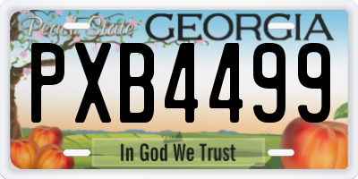 GA license plate PXB4499
