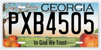 GA license plate PXB4505