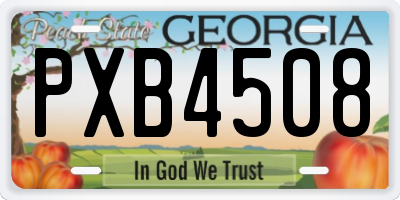 GA license plate PXB4508