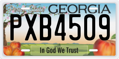 GA license plate PXB4509