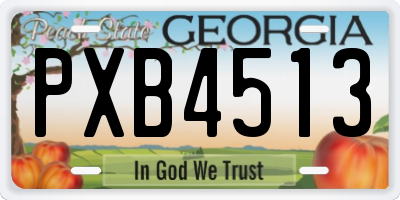 GA license plate PXB4513