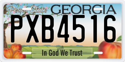 GA license plate PXB4516