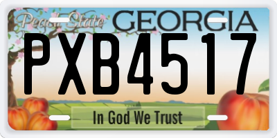 GA license plate PXB4517