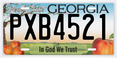 GA license plate PXB4521