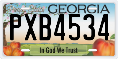 GA license plate PXB4534