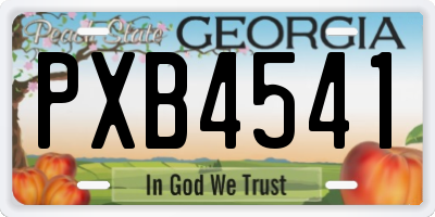 GA license plate PXB4541