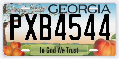 GA license plate PXB4544