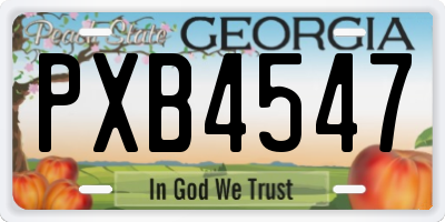 GA license plate PXB4547
