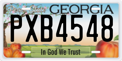 GA license plate PXB4548