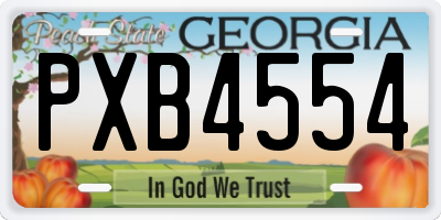 GA license plate PXB4554