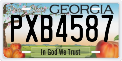 GA license plate PXB4587