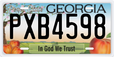 GA license plate PXB4598