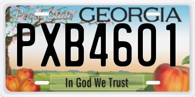 GA license plate PXB4601