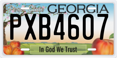 GA license plate PXB4607