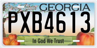 GA license plate PXB4613