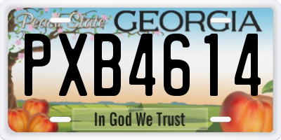 GA license plate PXB4614