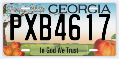 GA license plate PXB4617