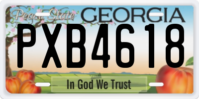 GA license plate PXB4618