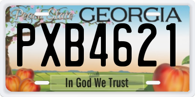 GA license plate PXB4621