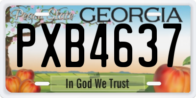 GA license plate PXB4637