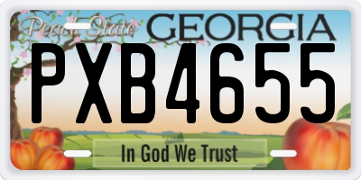 GA license plate PXB4655