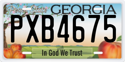 GA license plate PXB4675
