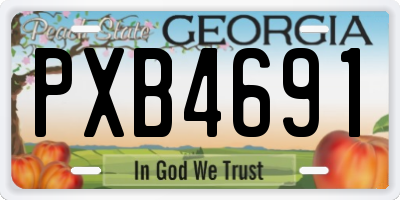 GA license plate PXB4691