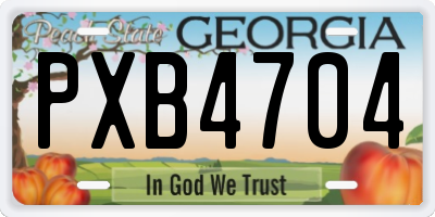 GA license plate PXB4704